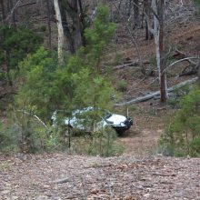 Ready to climb the hill