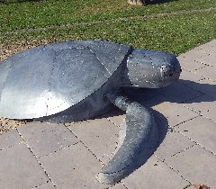 Thursday Island turtle sculpture