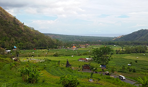 Landscape view of Bali countryside
