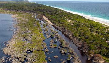 Flooded sectiion of Southern Ocean Road