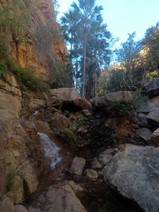 ELQ Gorge walk