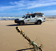 DMax on remote Tasmanian West Coast beach